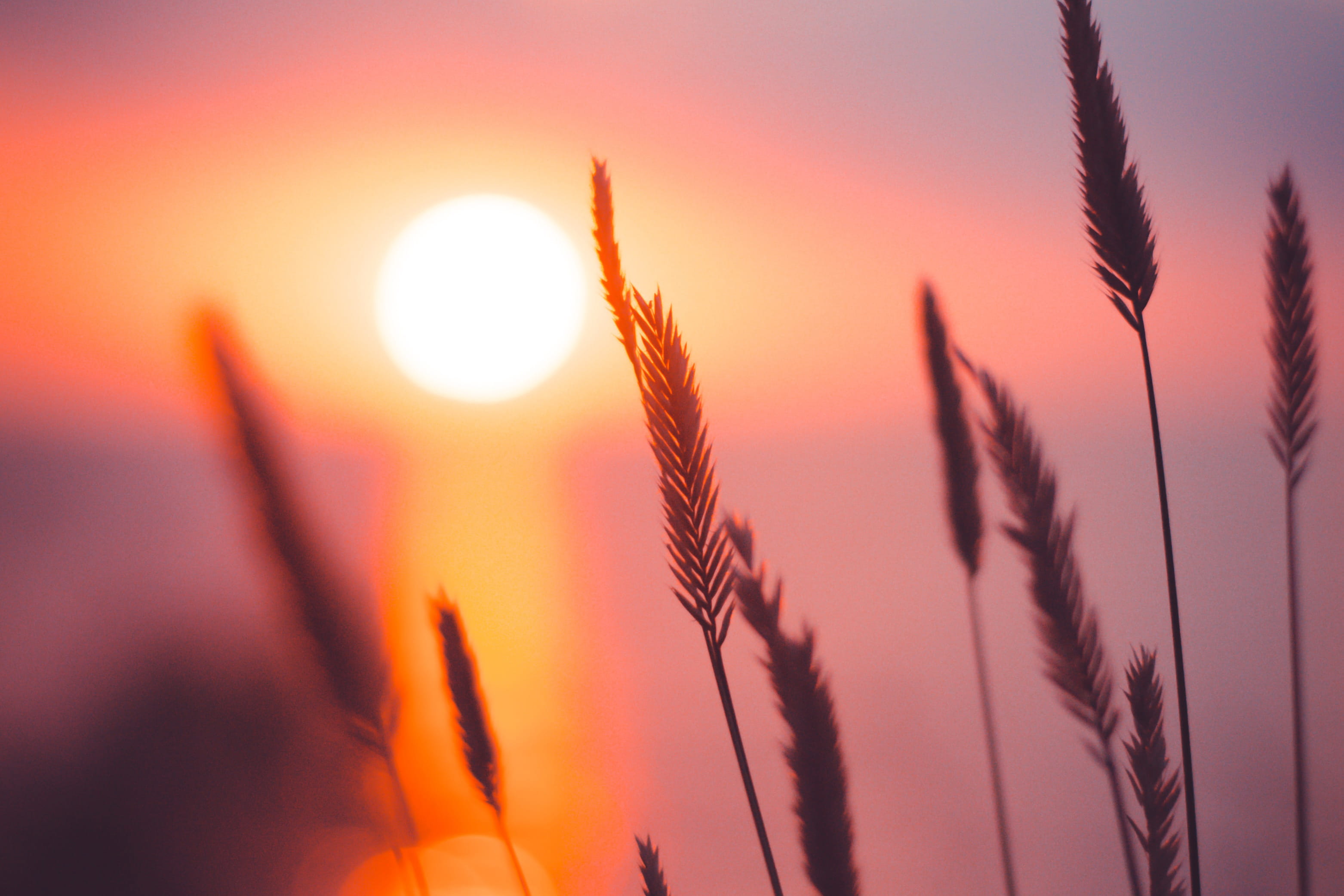 Do You Need a Fresh Start?