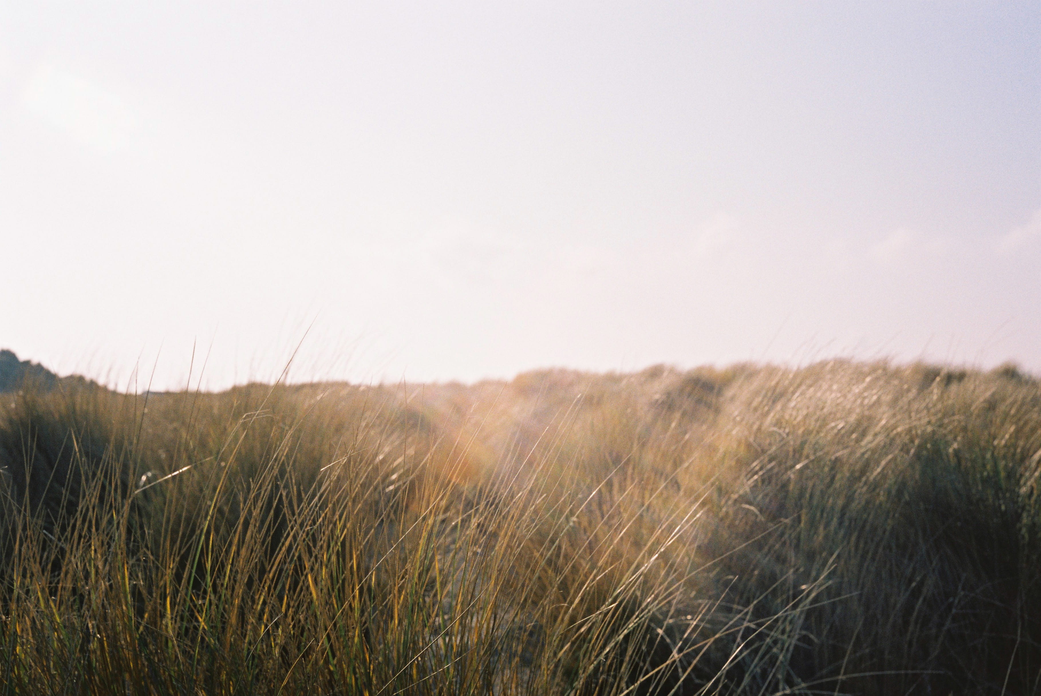 Experiencing Real Peace in Your Soul