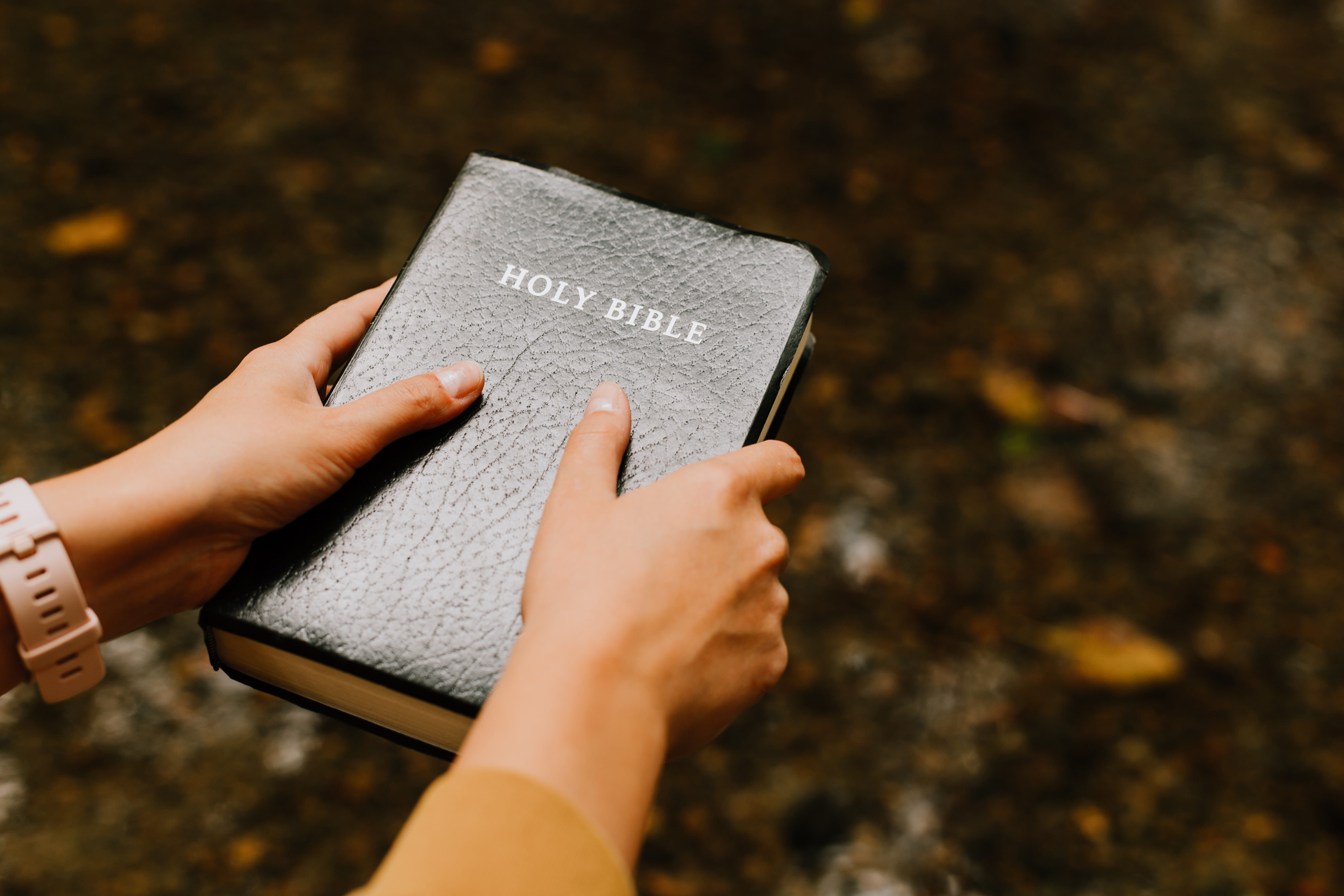 Following God's Wisdom for Your Life