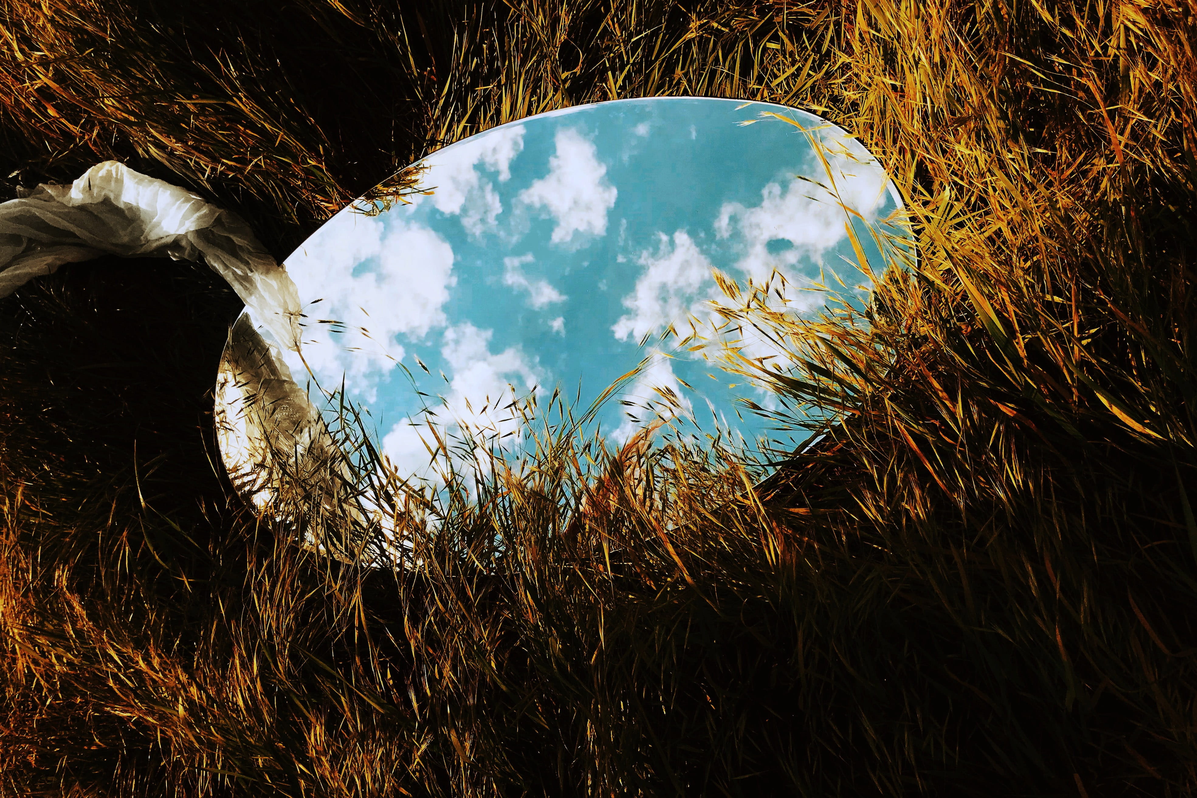 Freedom from Judgment and Criticism