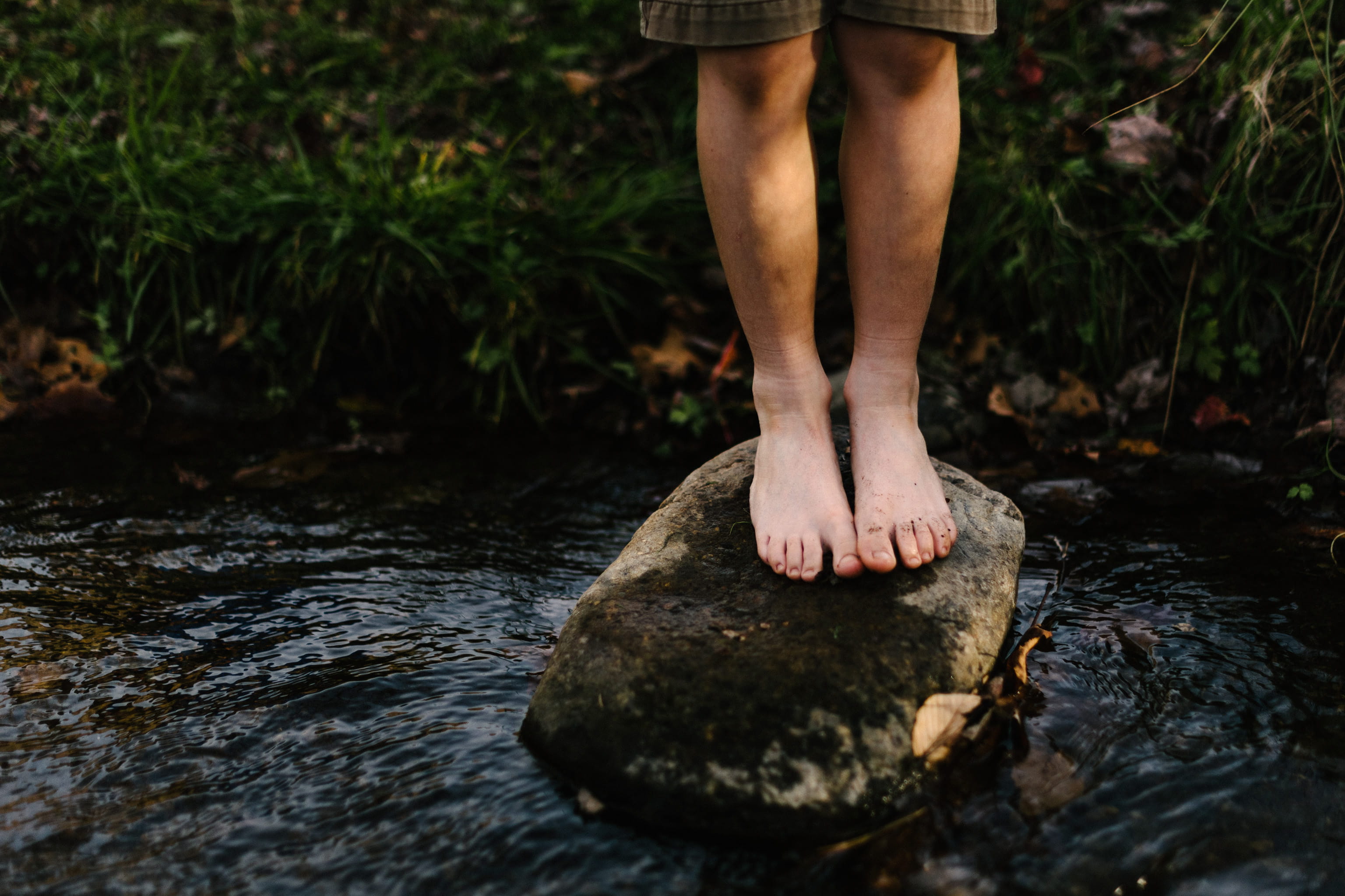 How the Habit of Trust Transforms
