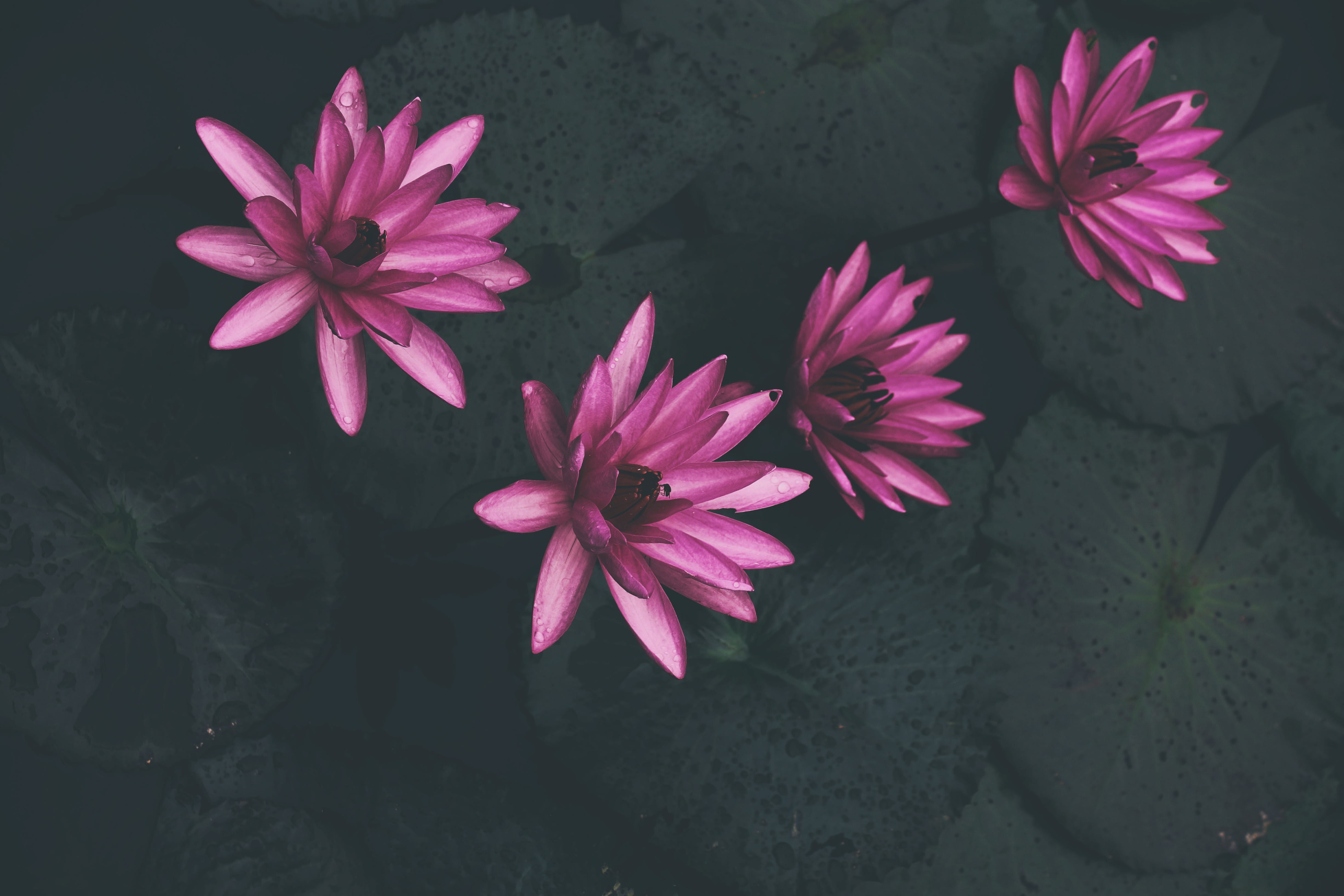 Practical Tips to Deal with Stress