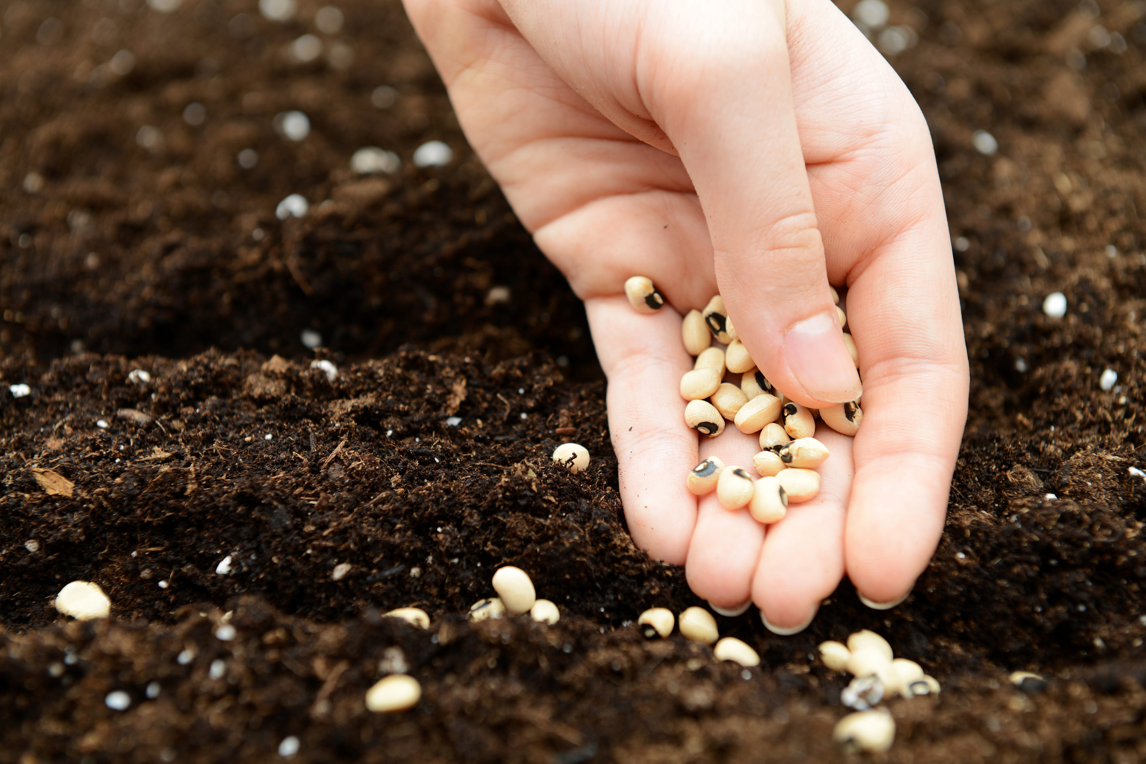 Prayers for Spiritual Growth