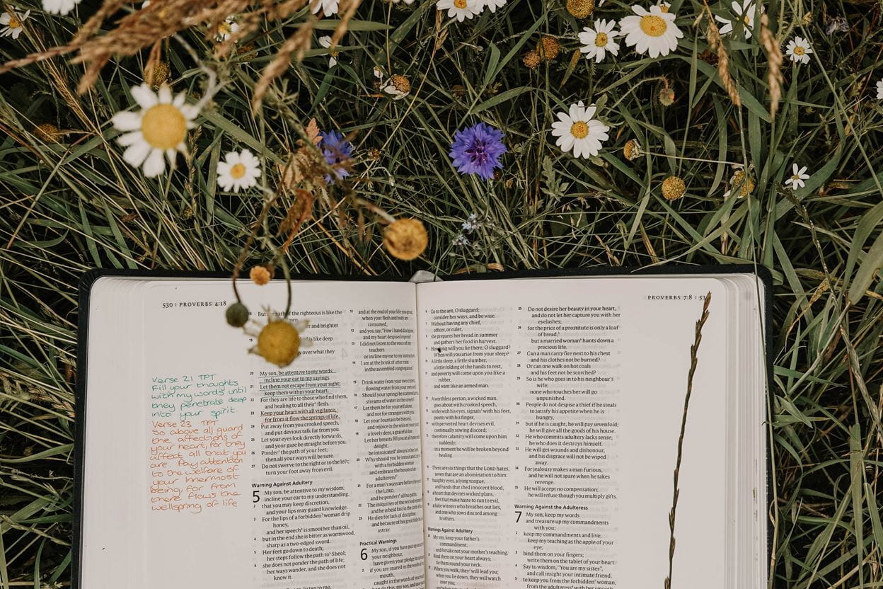 God's Word opened to Proverbs, sitting in a field of wildflowers.