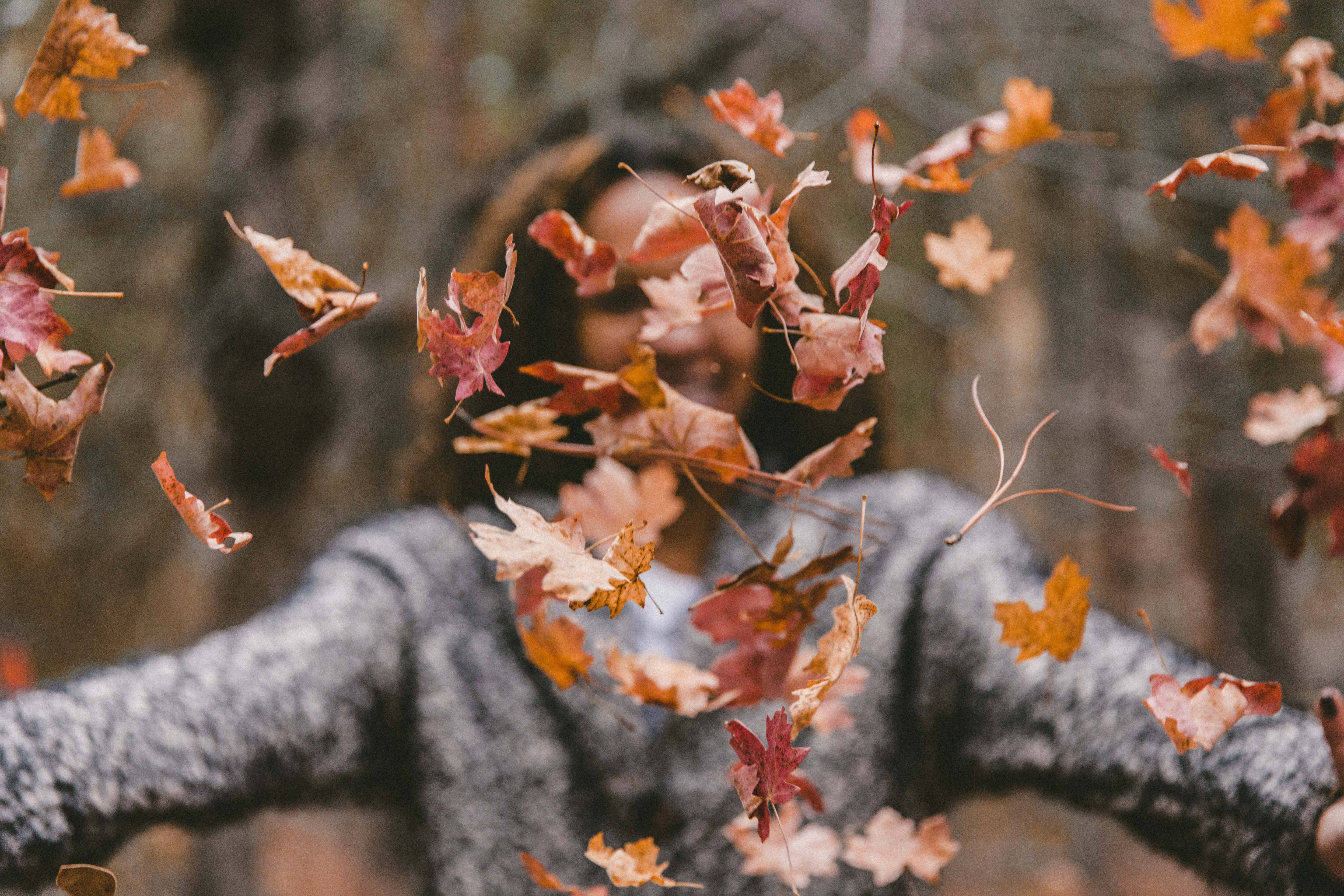 The Fruit of God's Pruning Process