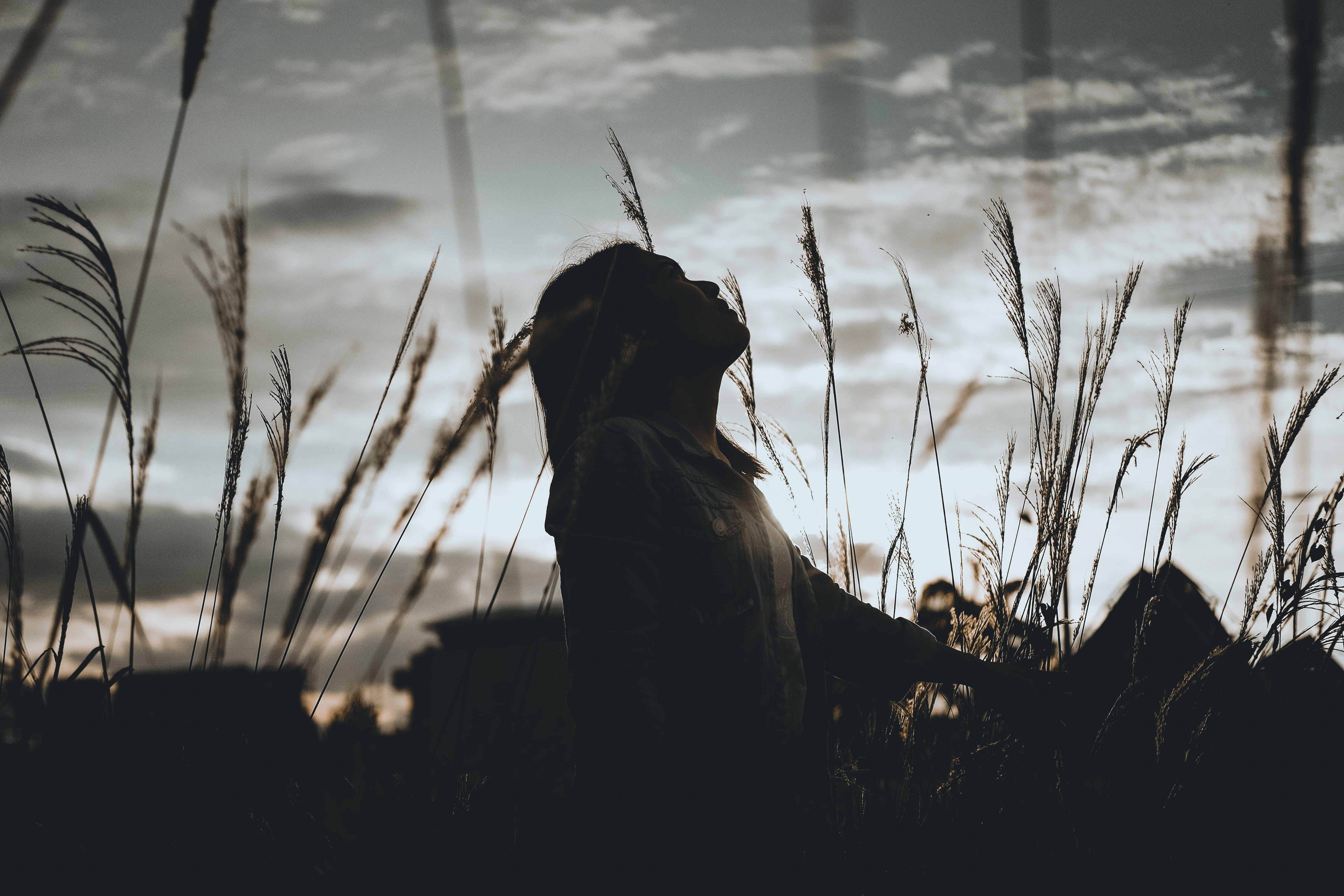 The Growth of a Dream
