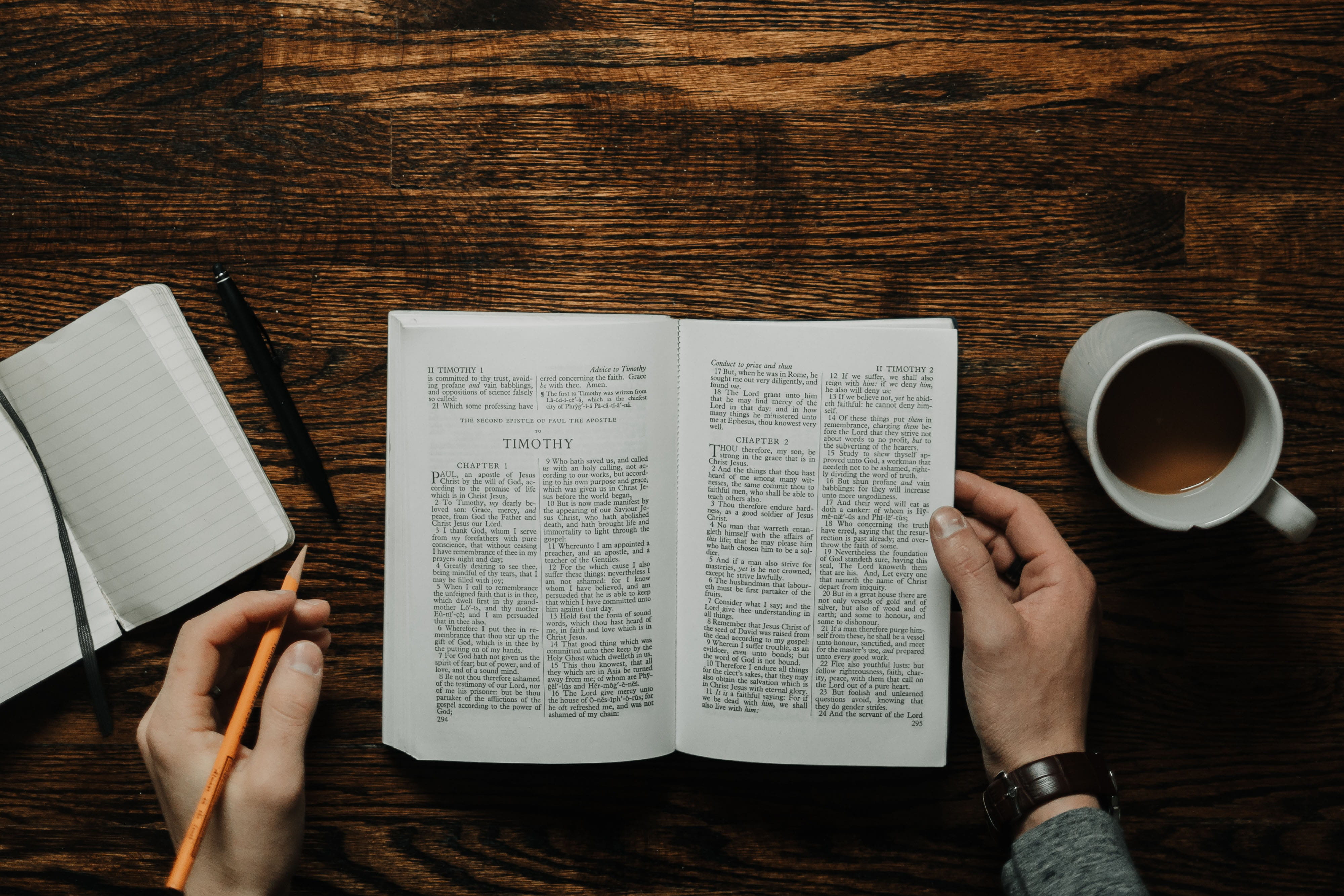 The Power of a Renewed Mind