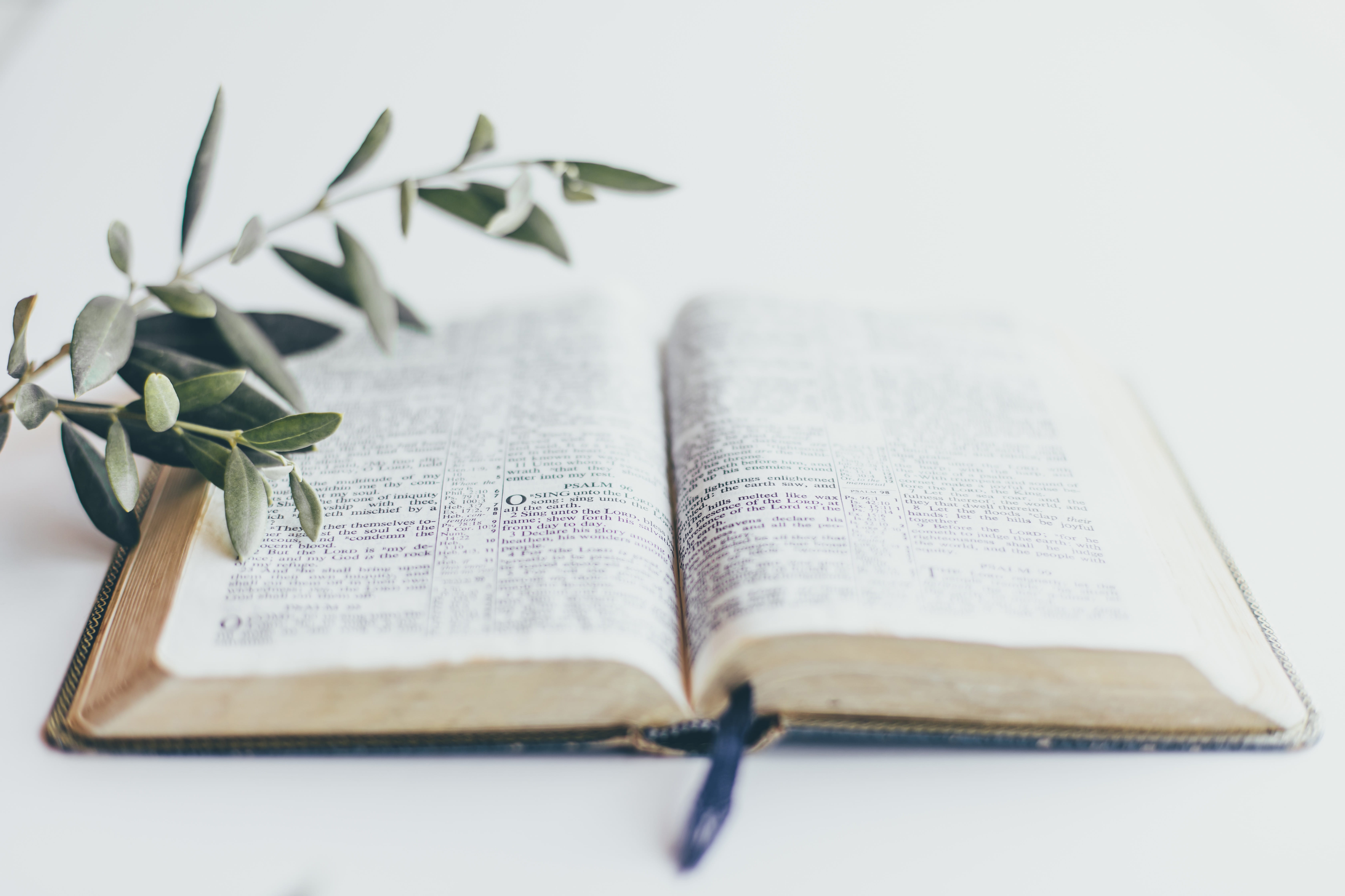 Believe and Confess