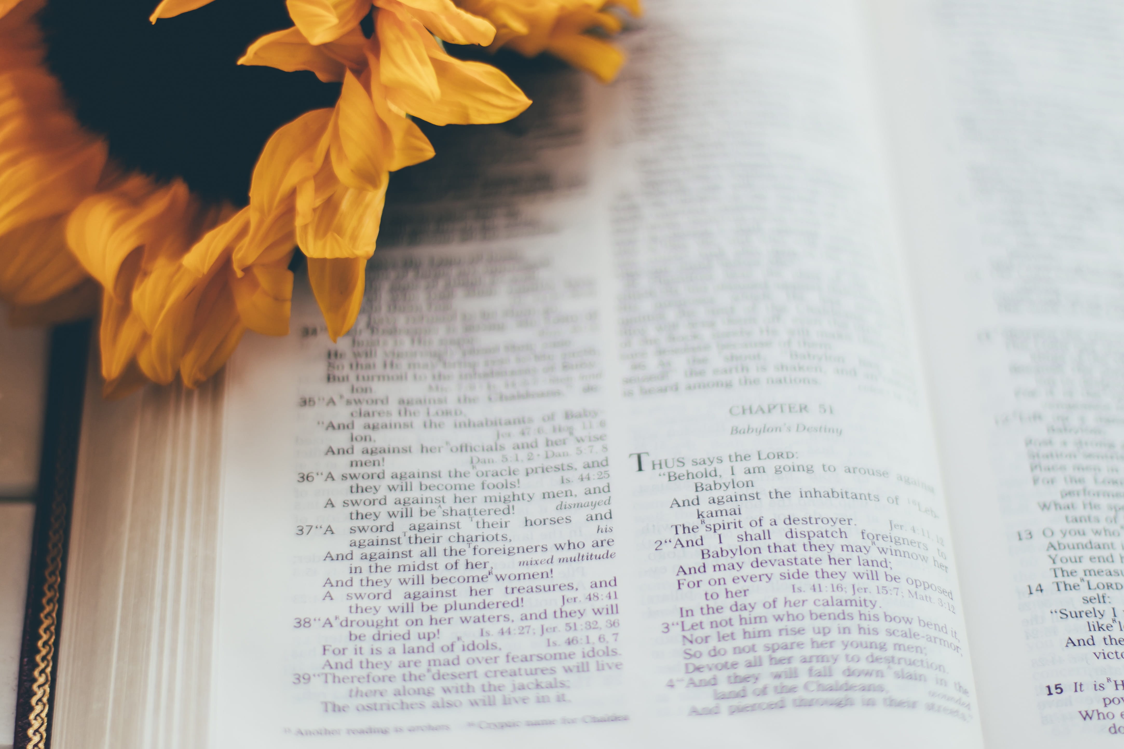 How to Win the Battle Against Unbelief