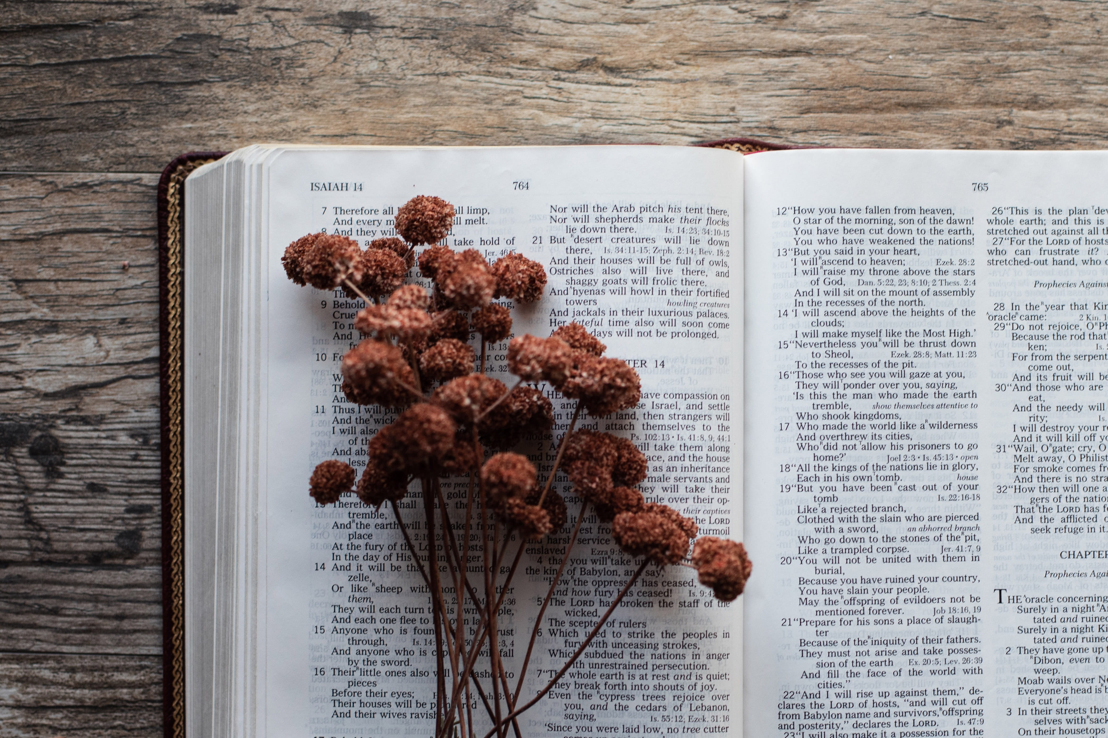 Fellowship with God