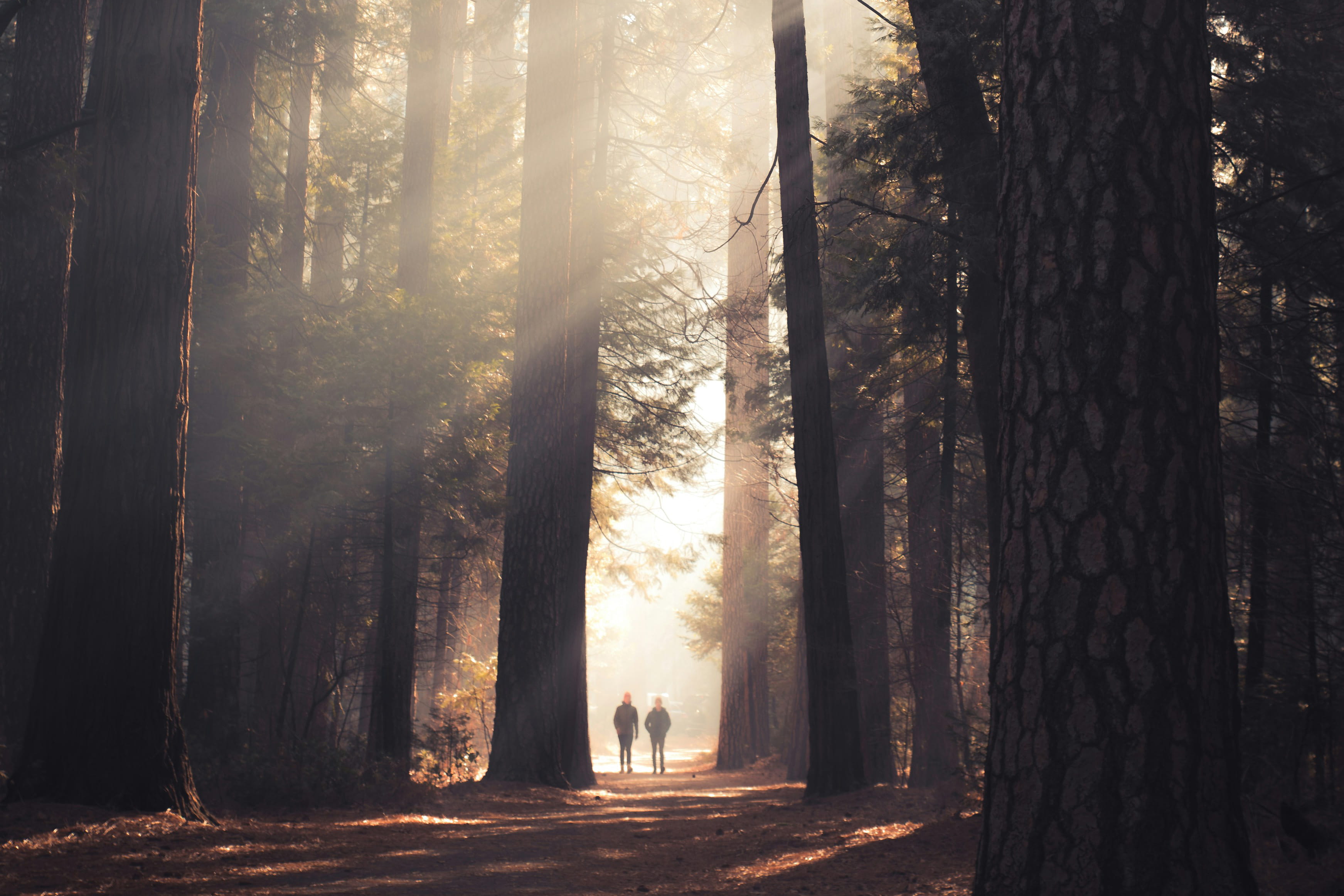 Thankfulness: The Key to Having the Life You Really Want