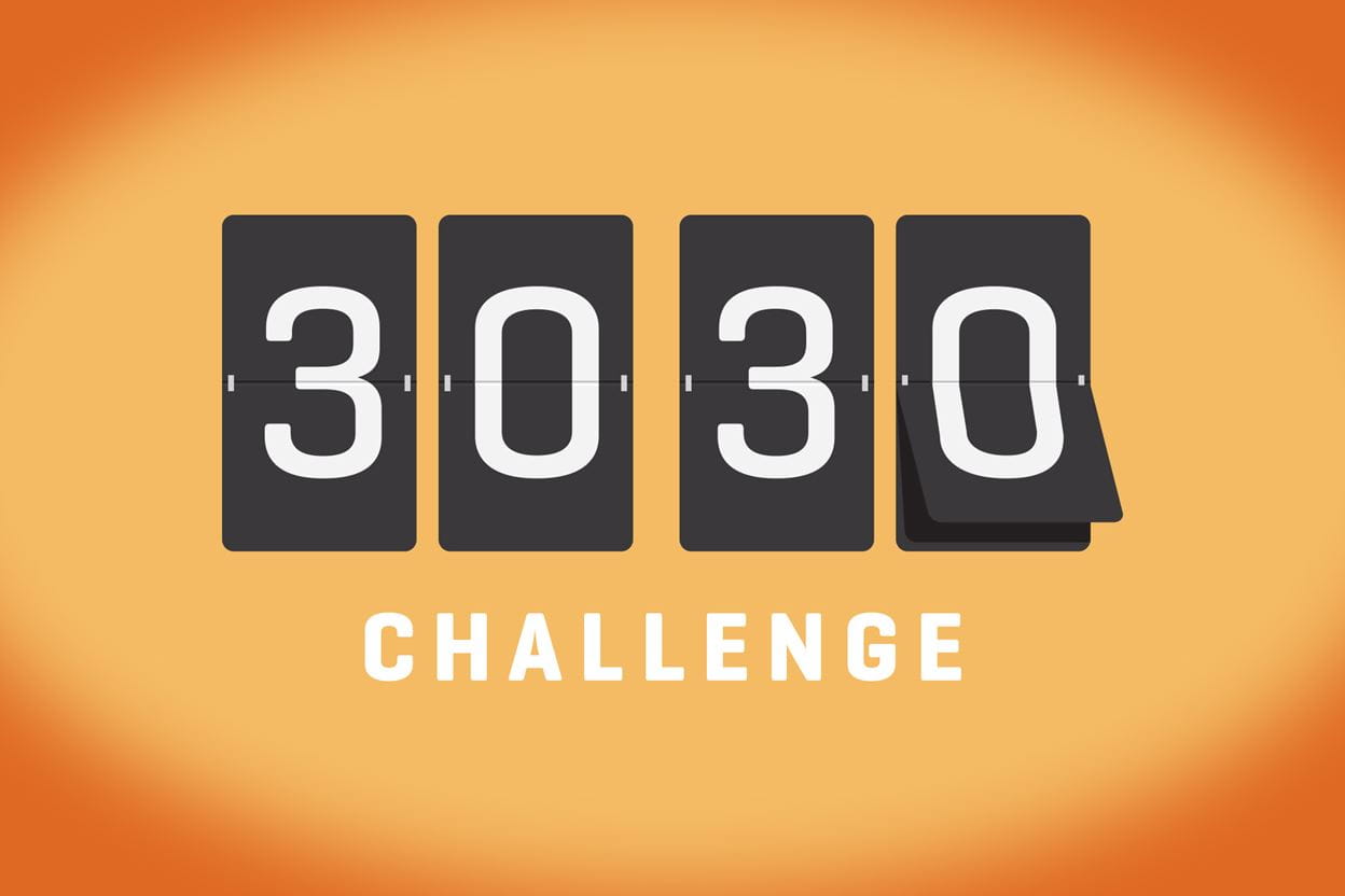 3030 Challenge