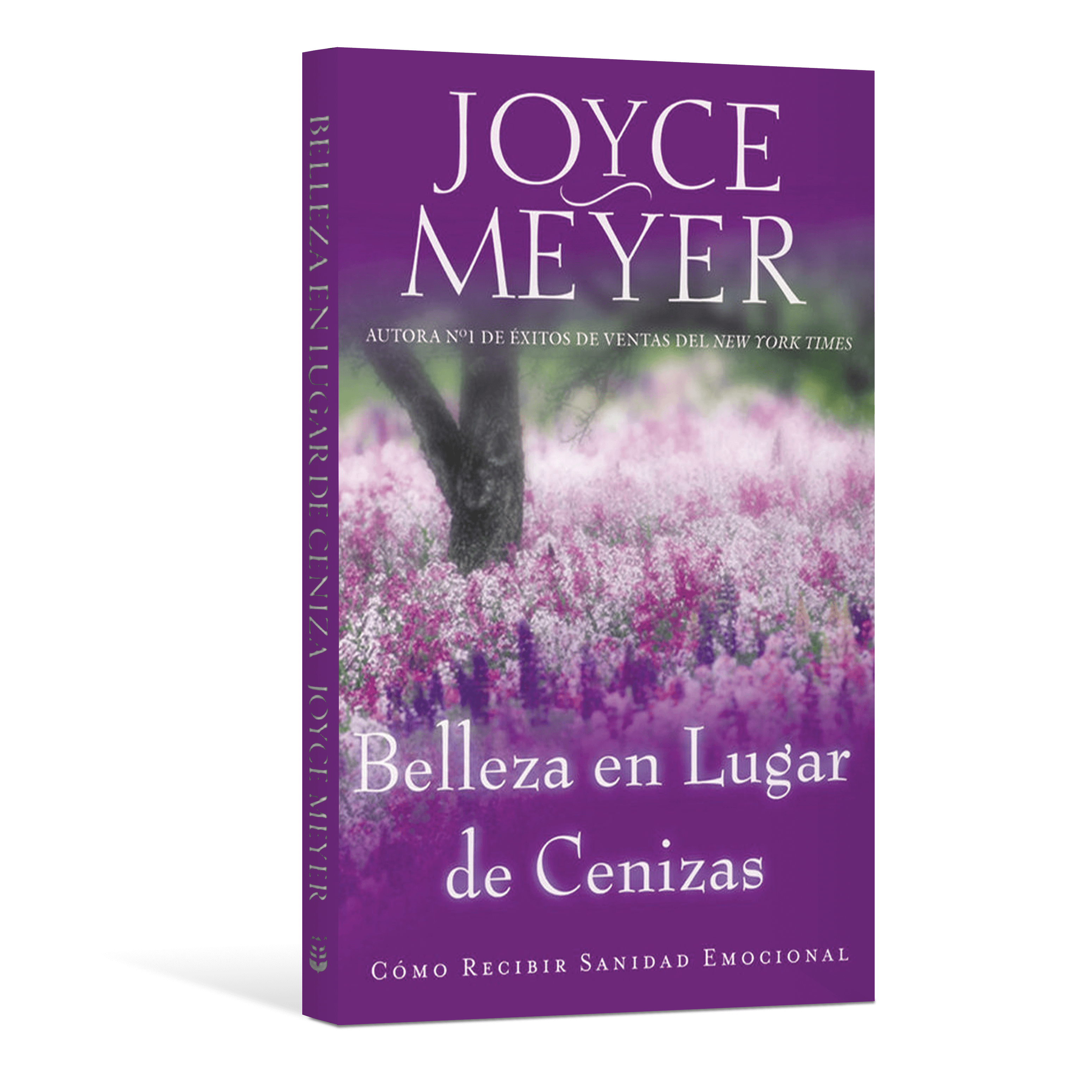 Belleza en Lugar de Ceniza