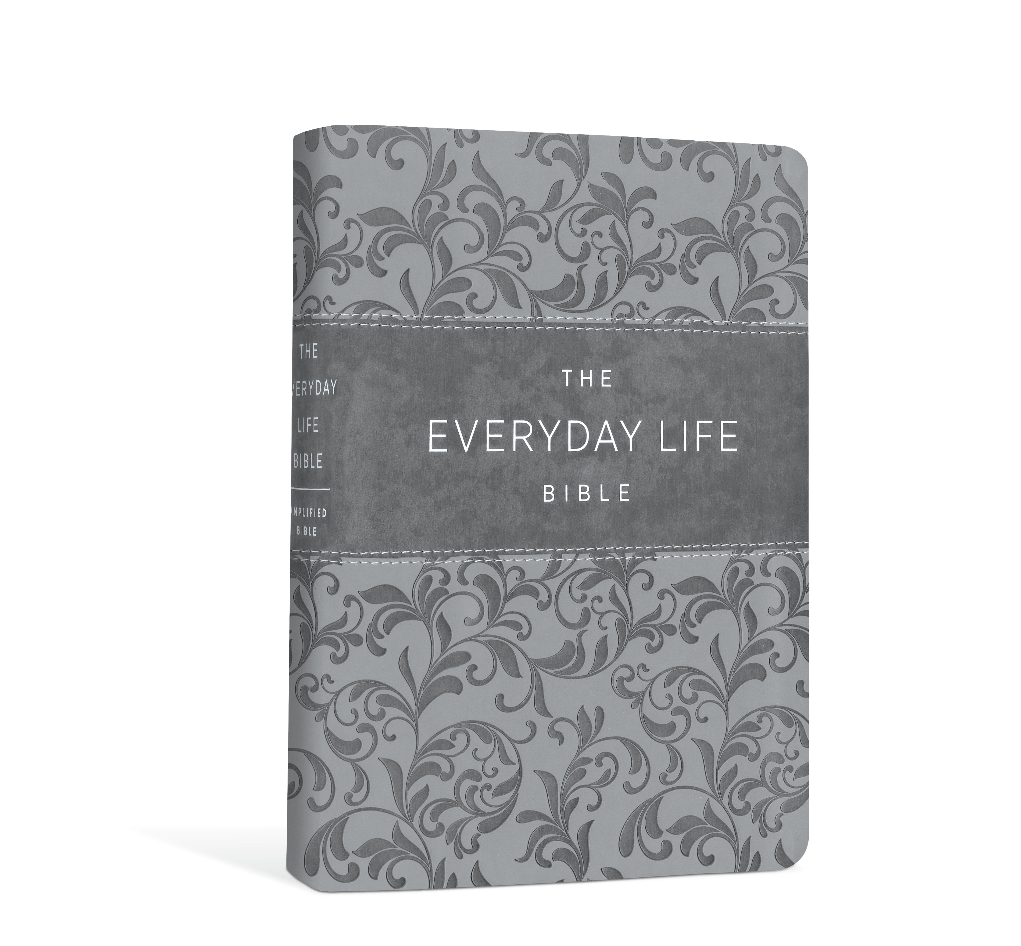 The Everyday Life Bible (AMP) - Gray