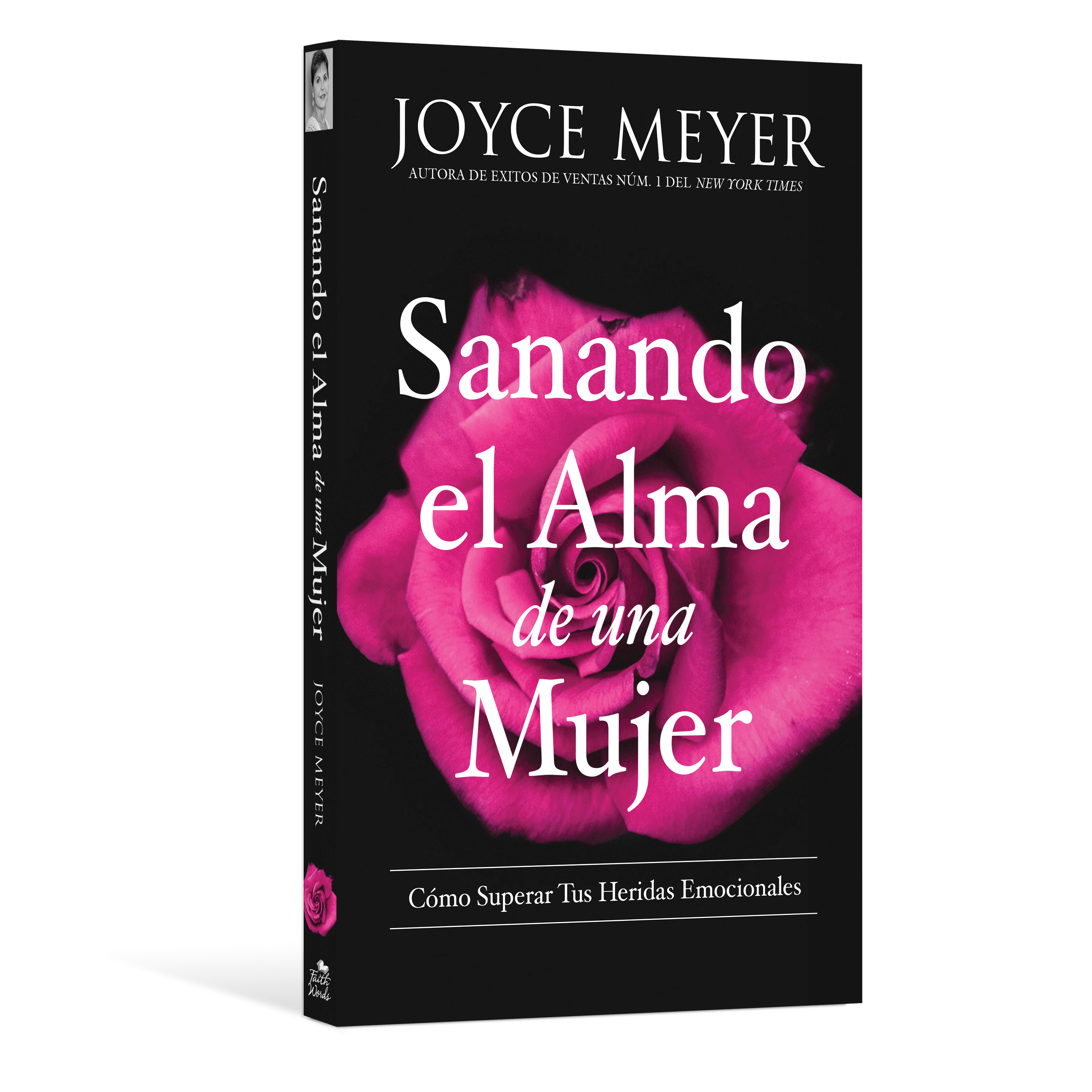 Sanando el Alma de una Mujer  (PB)