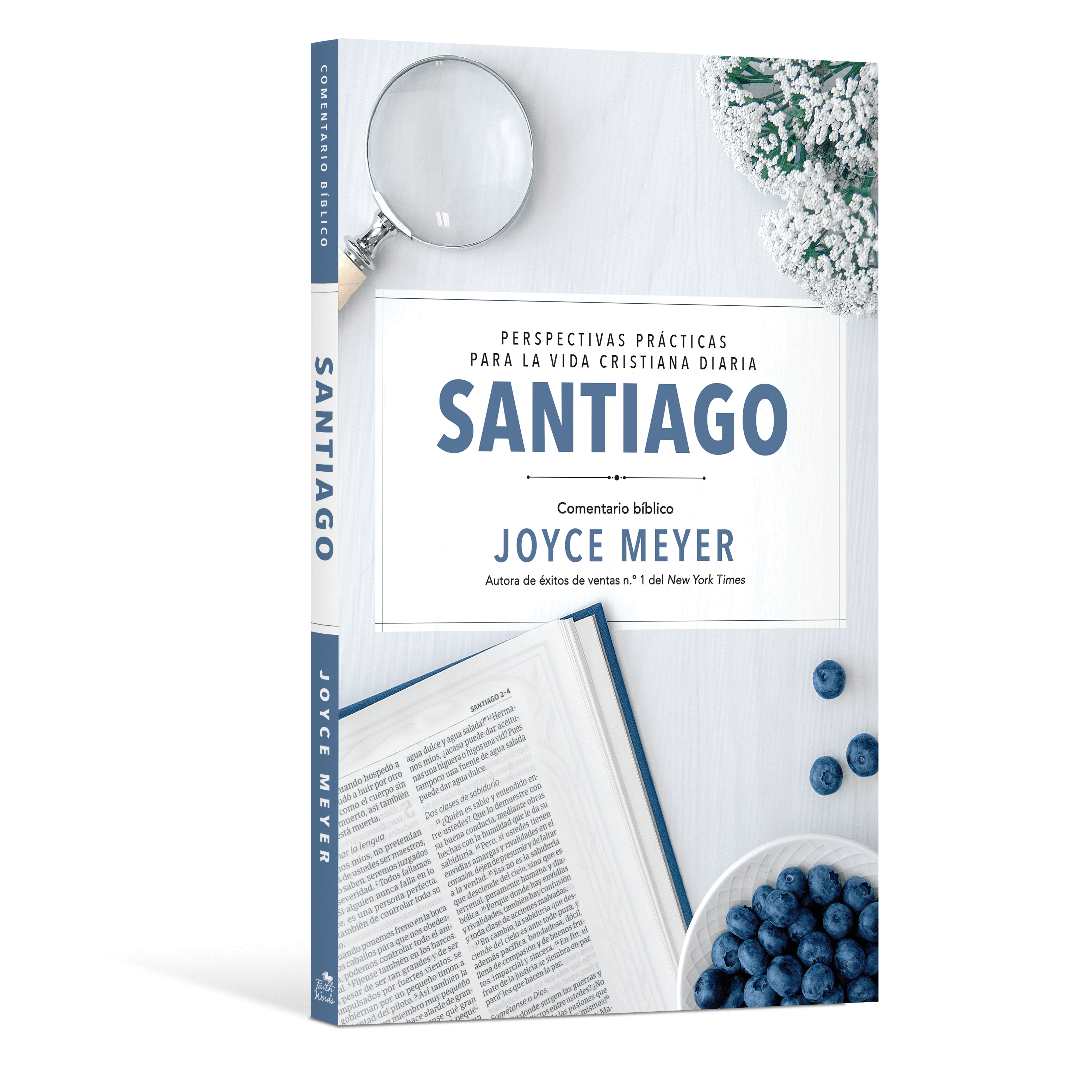 Santiago: Comentario Biblico