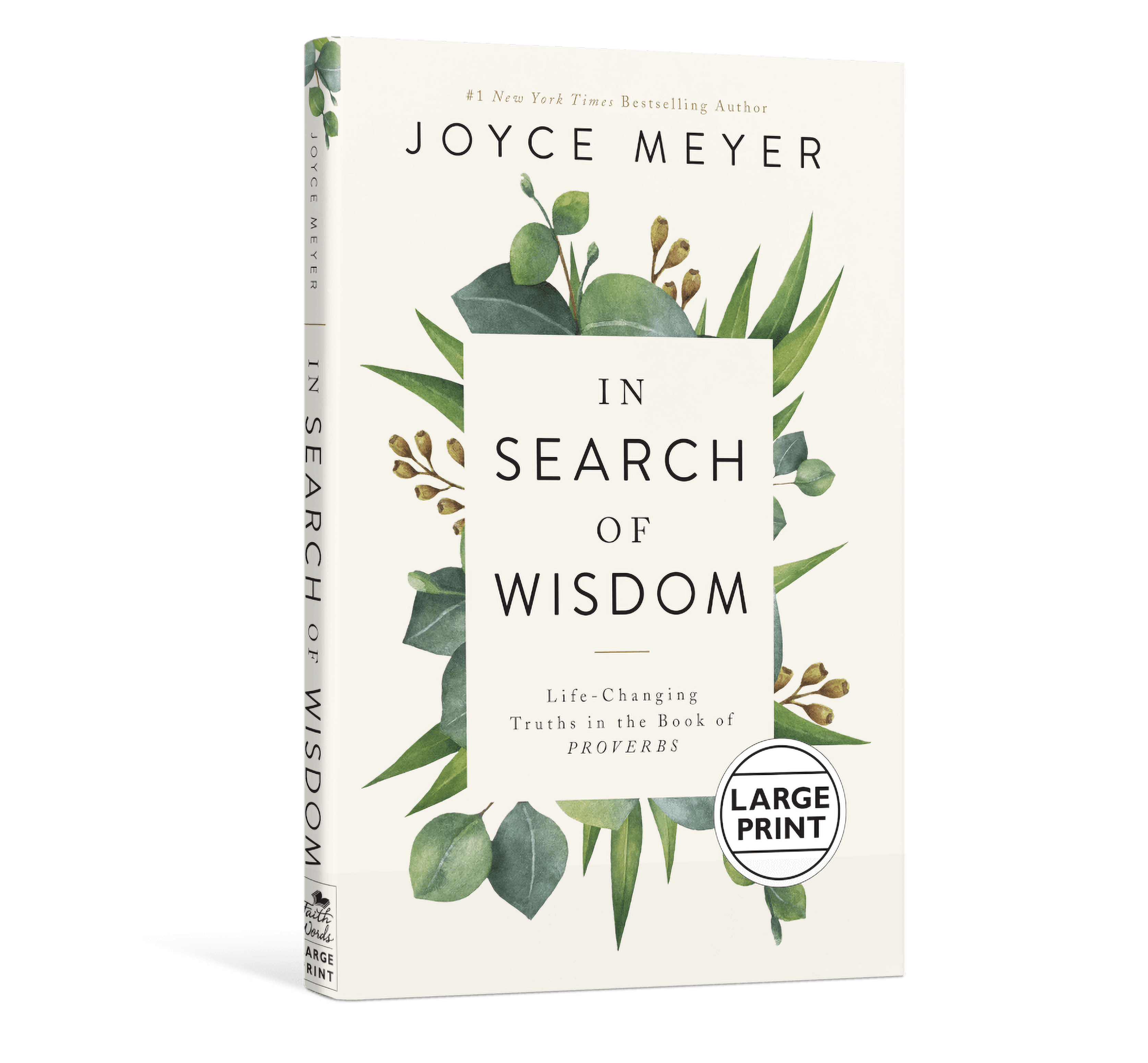In Search of Wisdom – Large Print