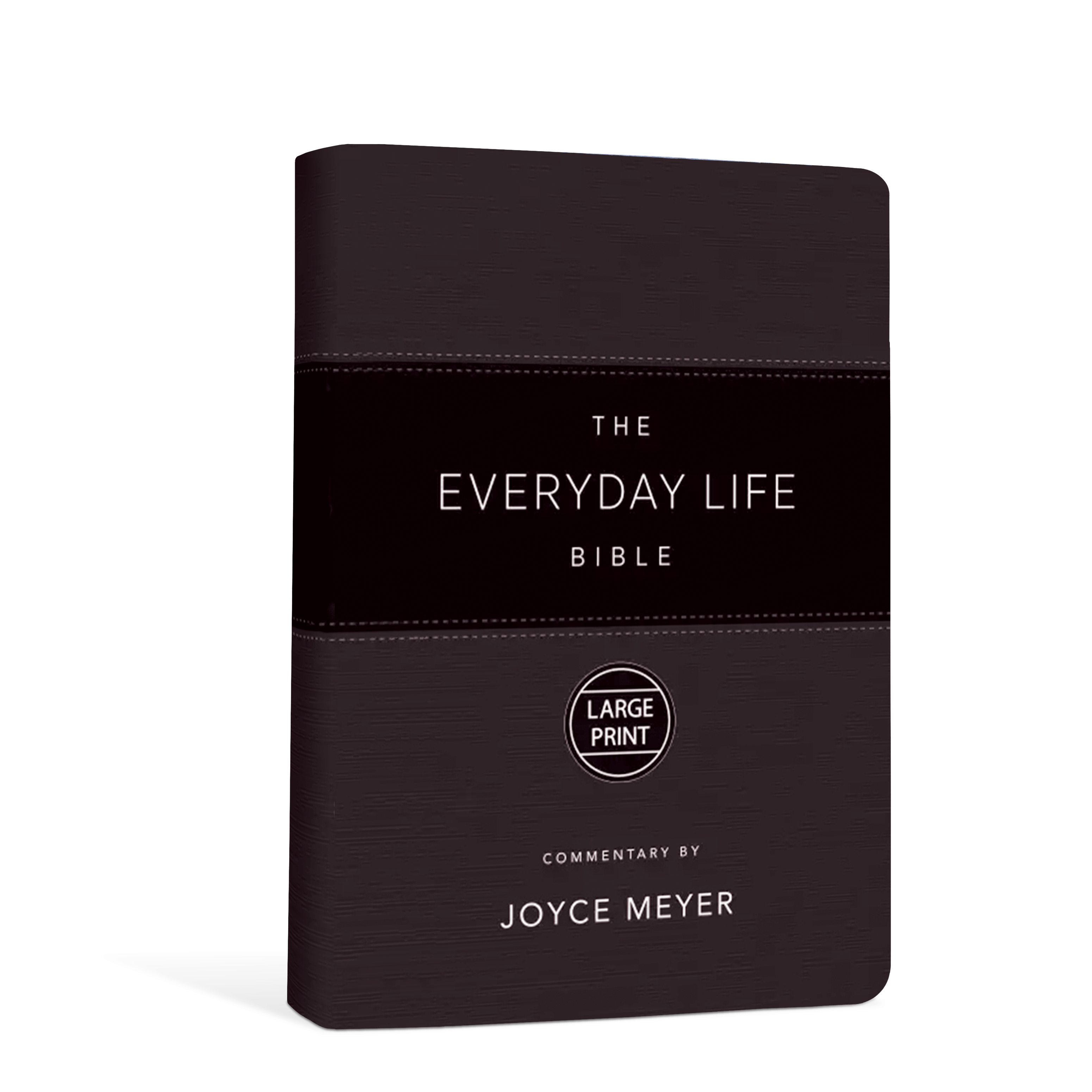 The Everyday Life Bible (AMP) – Black, Large Print