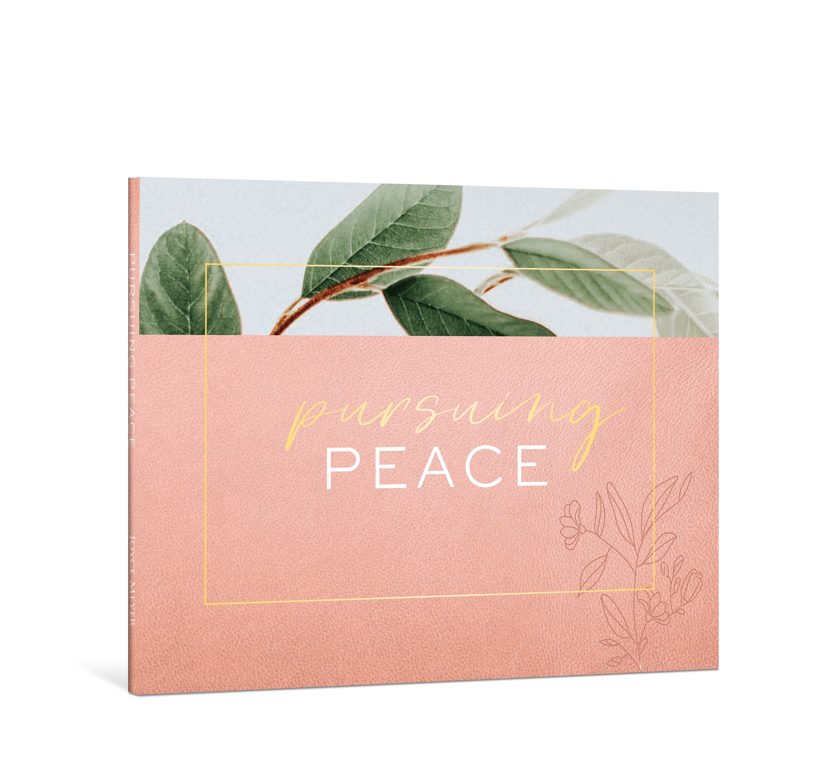 Pursuing Peace