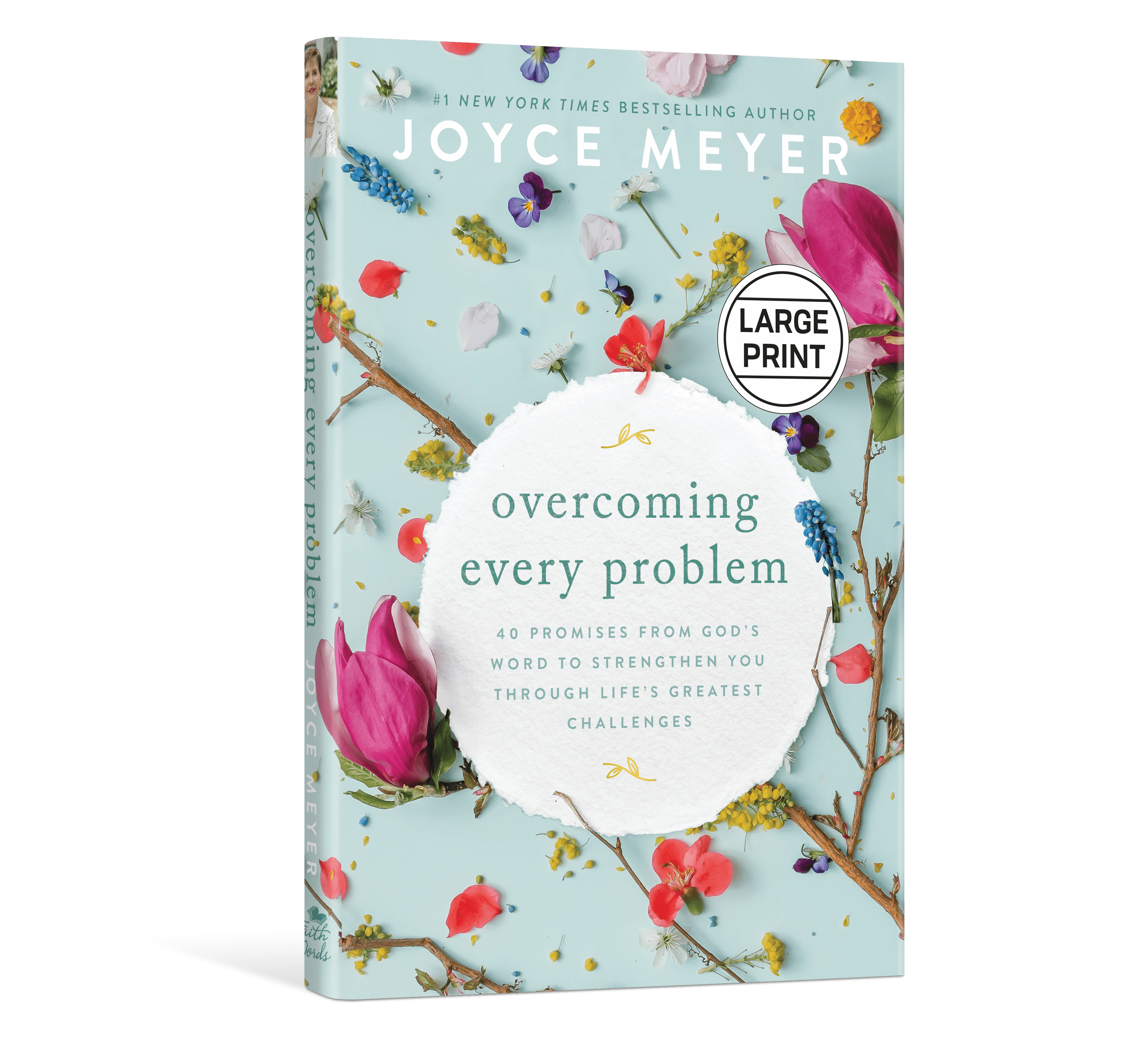 Overcoming Every Problem – Large Print