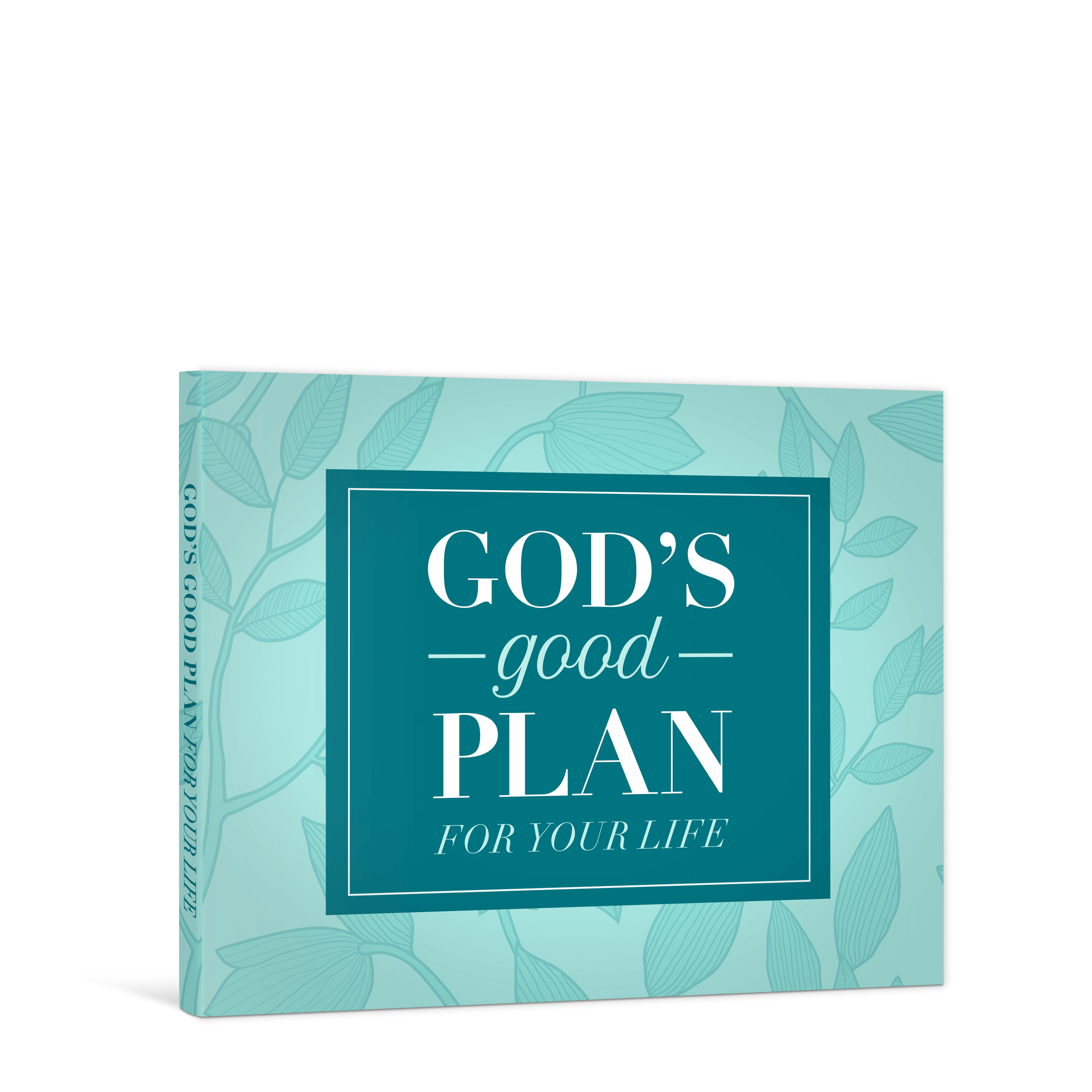 God's Good Plan for Your Life