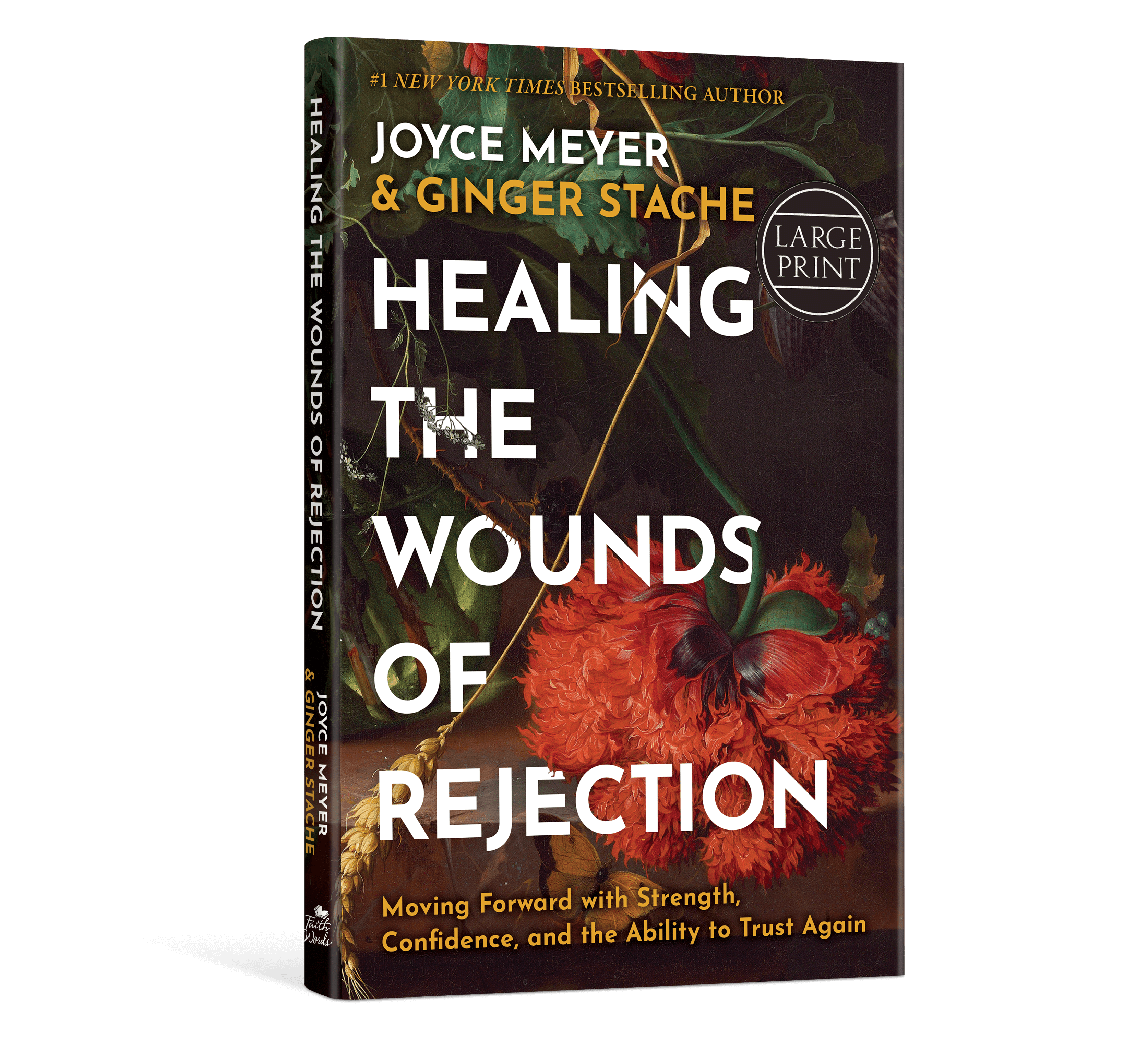 Healing the Wounds of Rejection – Large Print