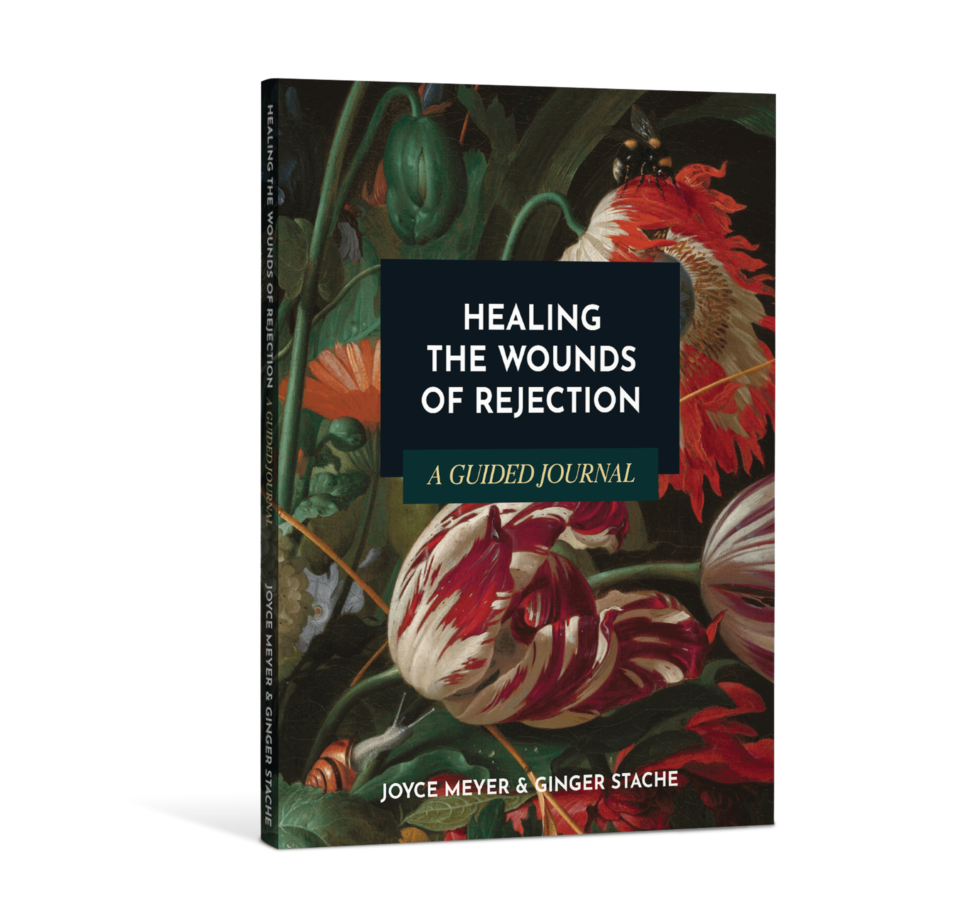 Healing the Wounds of Rejection: A Guided Journal